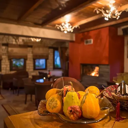 ホテル Andromeda Limni Plastira Koutsodímos